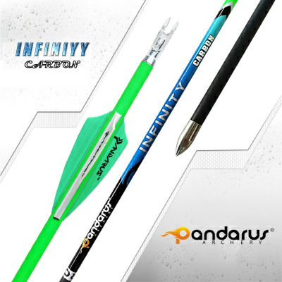 Стрела лучная карбоновая Pandarus Infinity 4.2